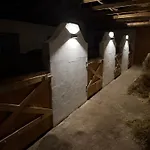 Ferienhaus Arlewatt Lägenhet