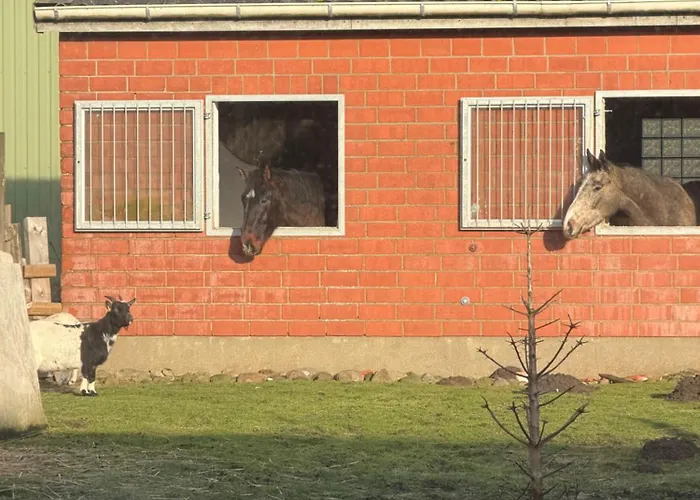 Apartamento Ferienhaus Arlewatt